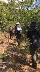 Curso Busca Terrestre