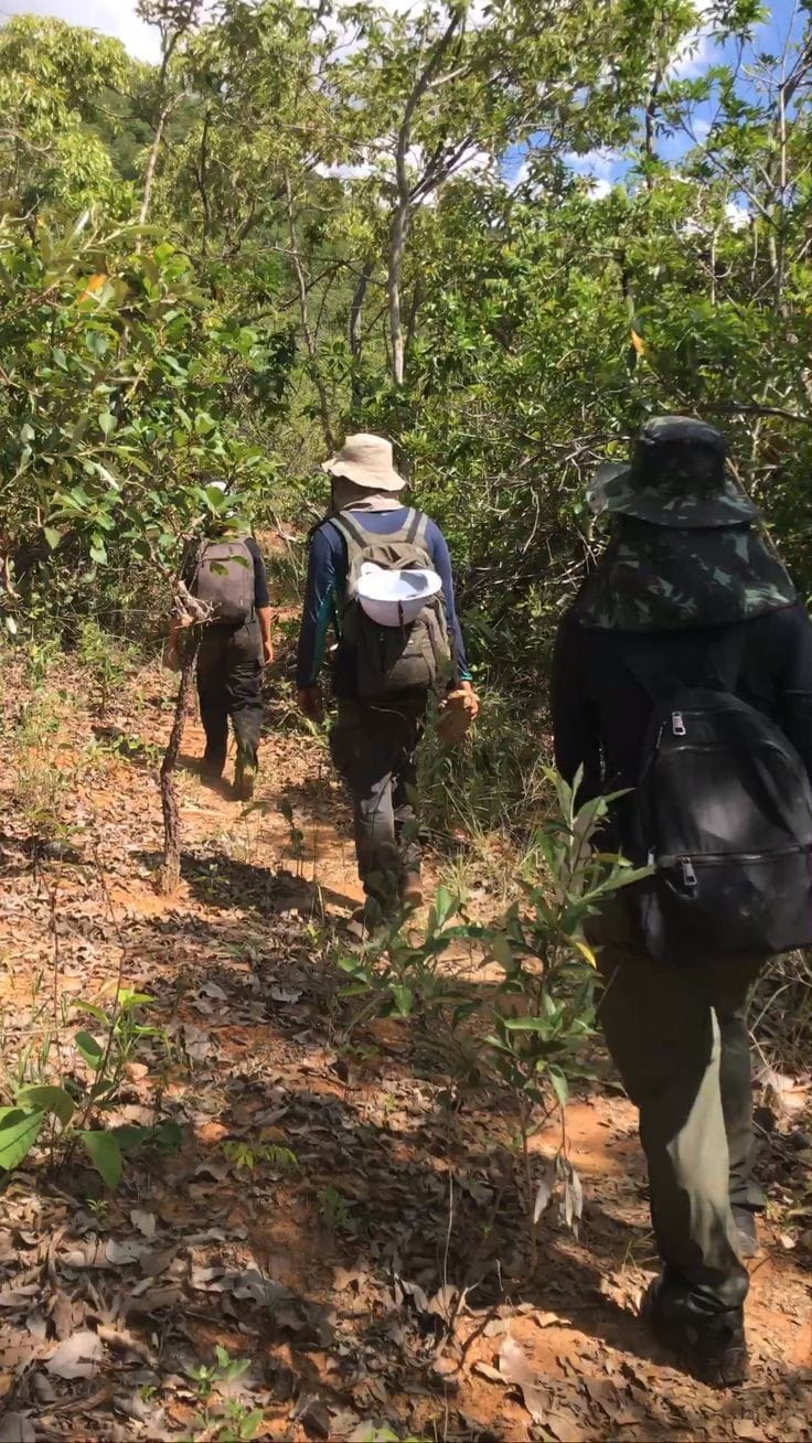 Curso Busca Terrestre